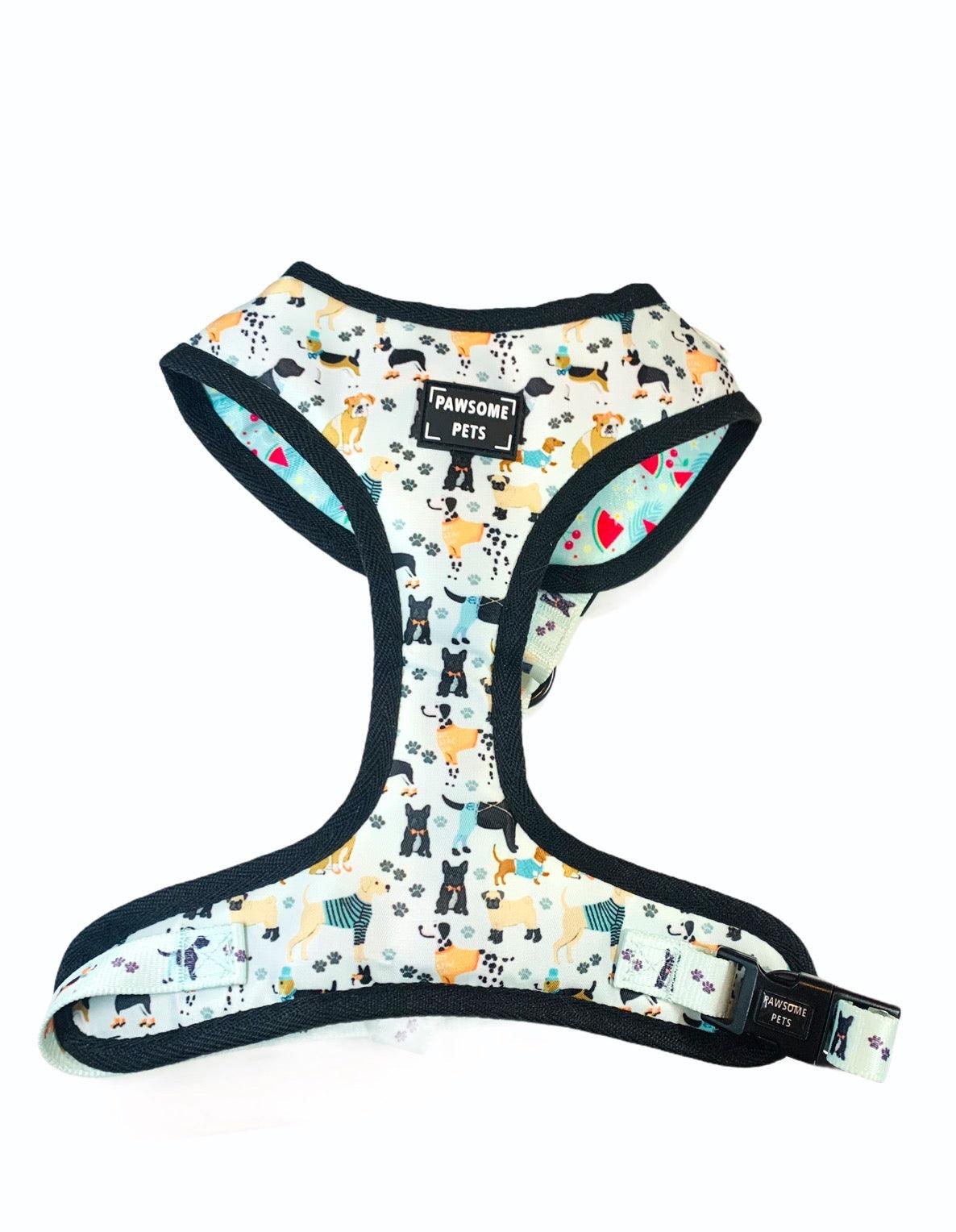 Bundle - Dapper Doggy (4 Pieces) Set