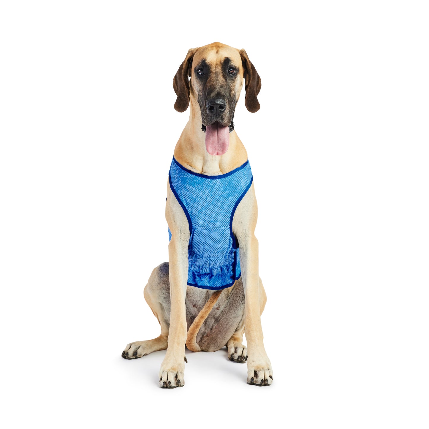 Elasto-Fit Ice Vest for Pets - Blue