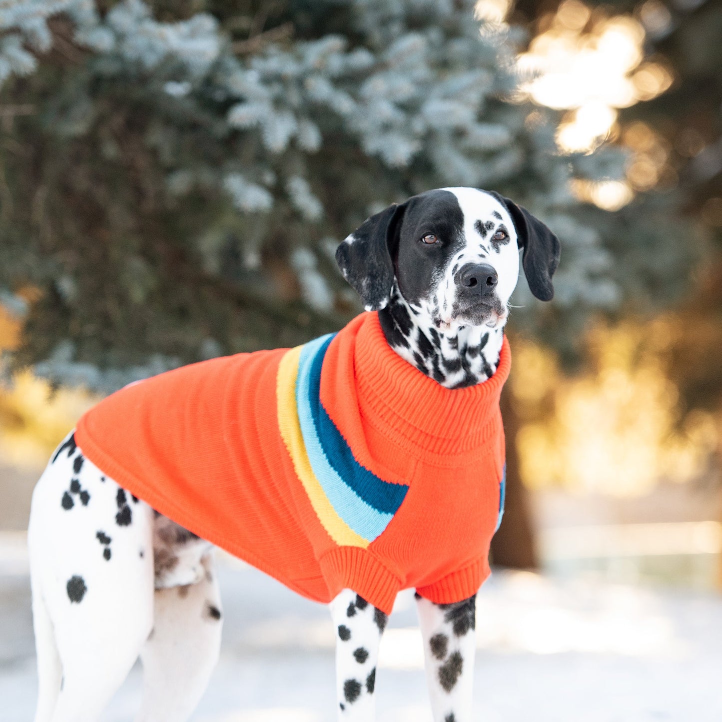 Alpine Sweater for Pets- Orange