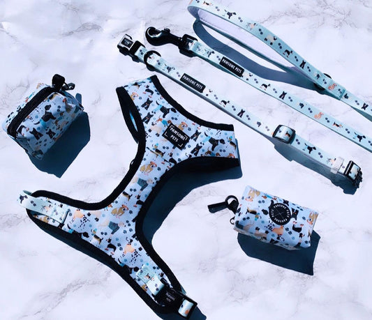 Bundle - Dapper Doggy (4 Pieces) Set