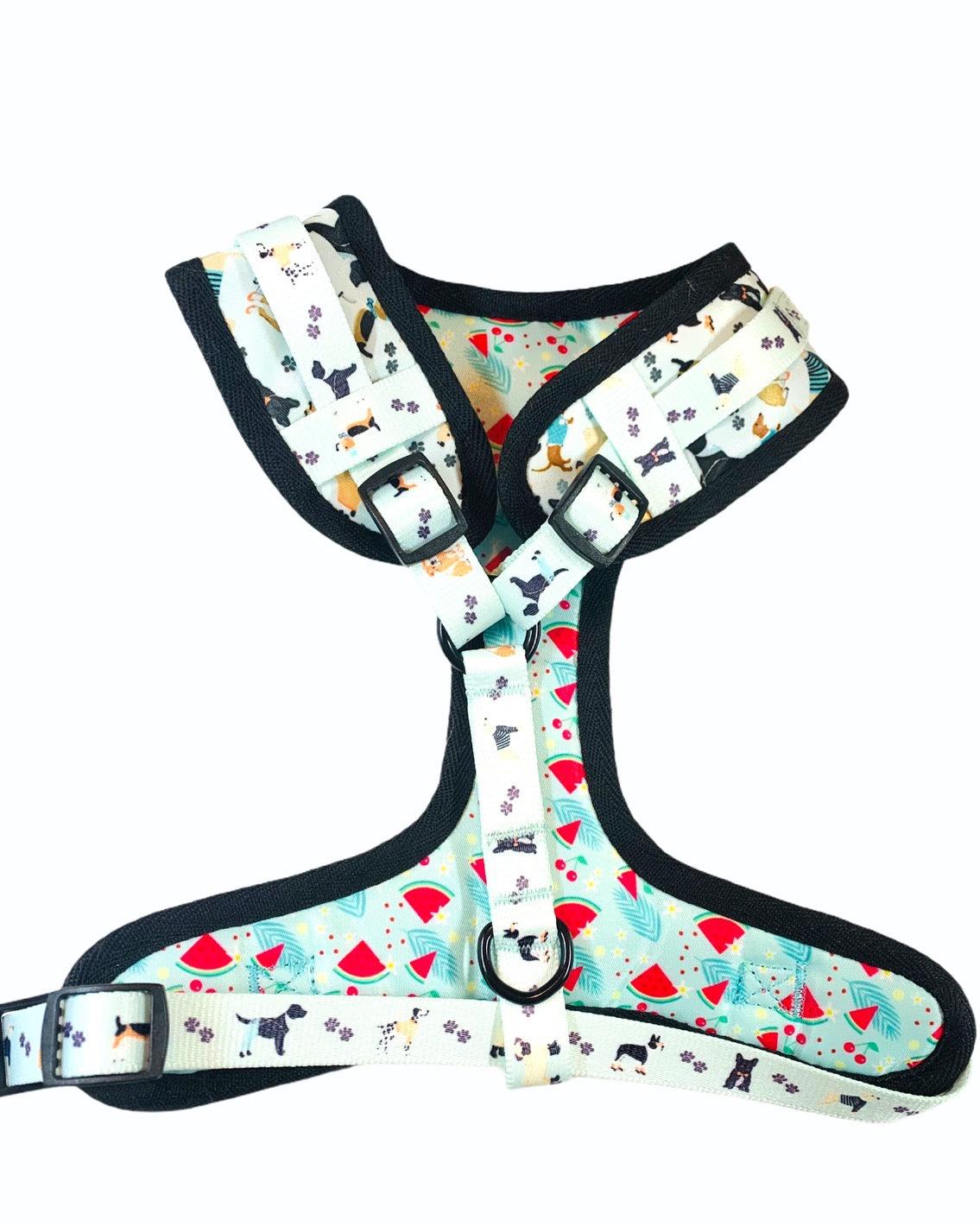 Bundle - Dapper Doggy (4 Pieces) Set