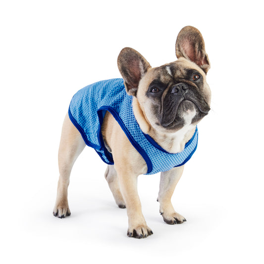 Elasto-Fit Ice Vest for Pets - Blue