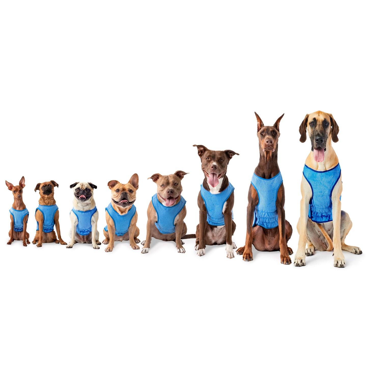 Elasto-Fit Ice Vest for Pets - Blue