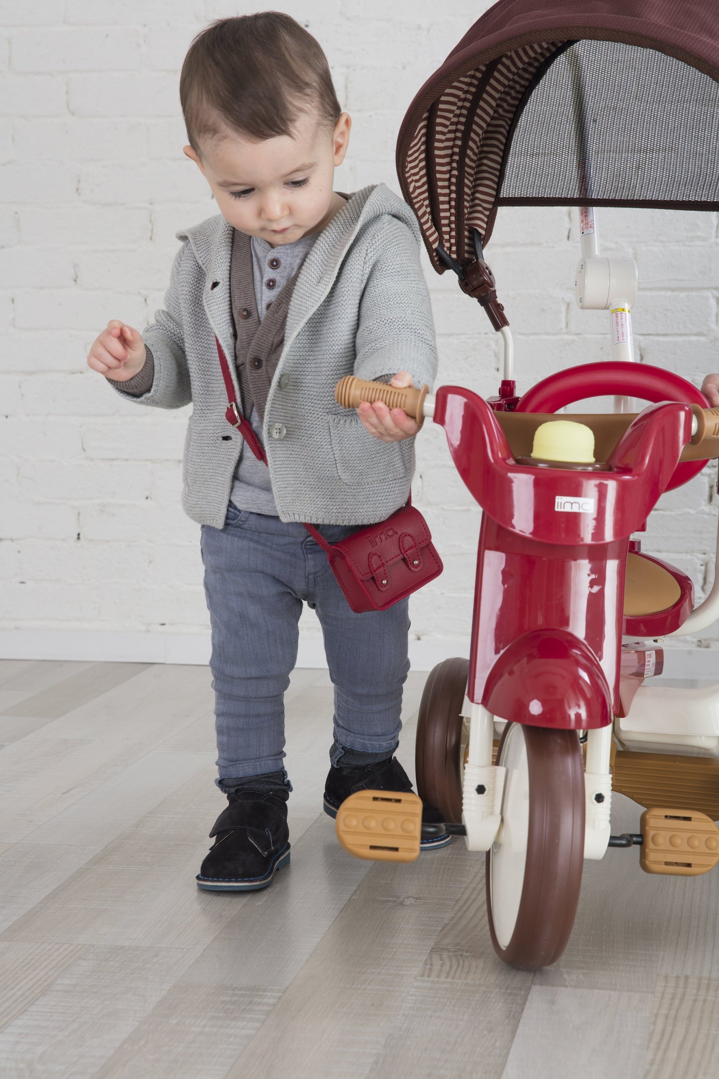 3-In-1 Foldable Tricycle with Canopy