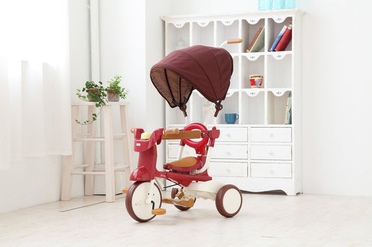 3-In-1 Foldable Tricycle with Canopy