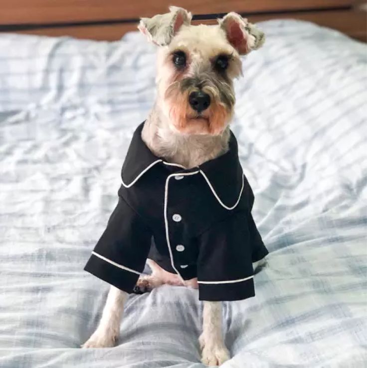 Soft Warm Dog Pajamas