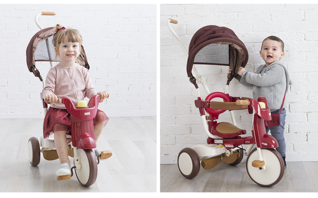 3-In-1 Foldable Tricycle with Canopy