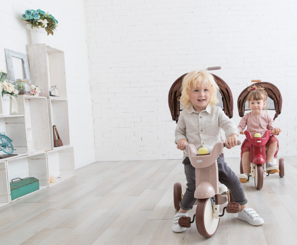 3-In-1 Foldable Tricycle with Canopy